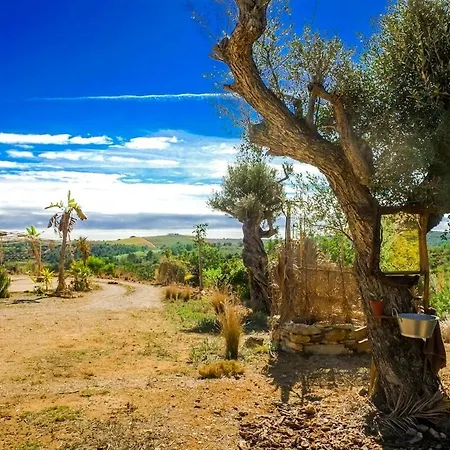 Apollo Tepee At Wild Spirit Eco Farm Luxuszelt Villanueva d'Alcolea